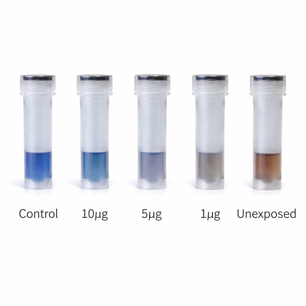 Protein Test Kits